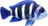 Overige Zoetwater